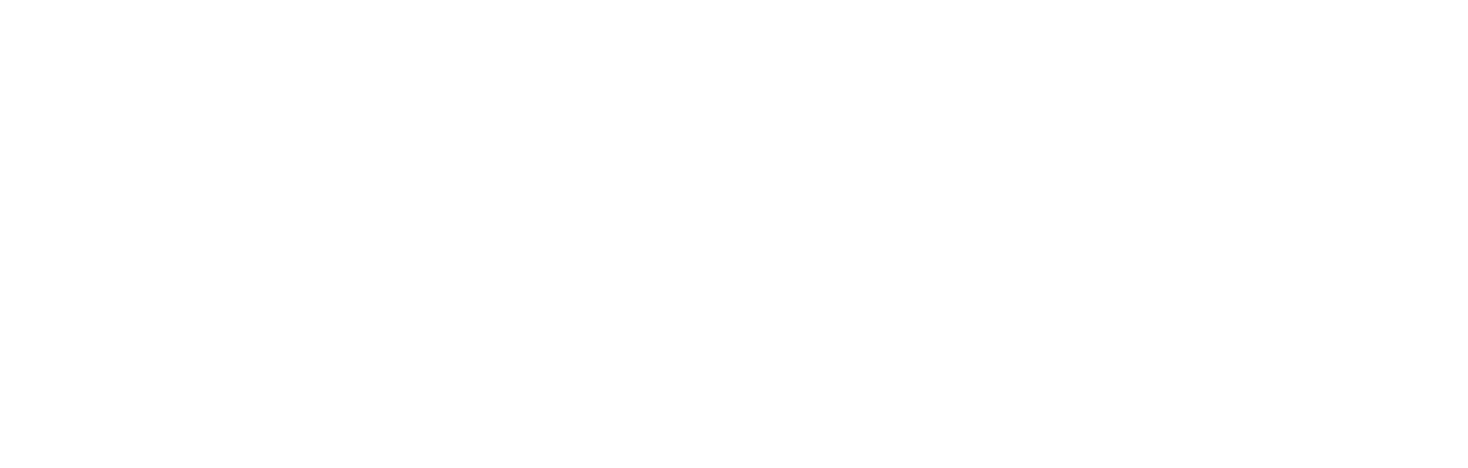 Central Maine Healthcare Logo